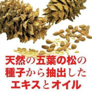 五葉の松種子エキスSPN