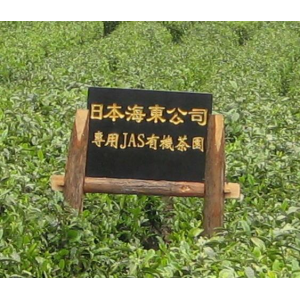 【JAS認証】有機 白茶 （弱発酵茶）（リーフ）